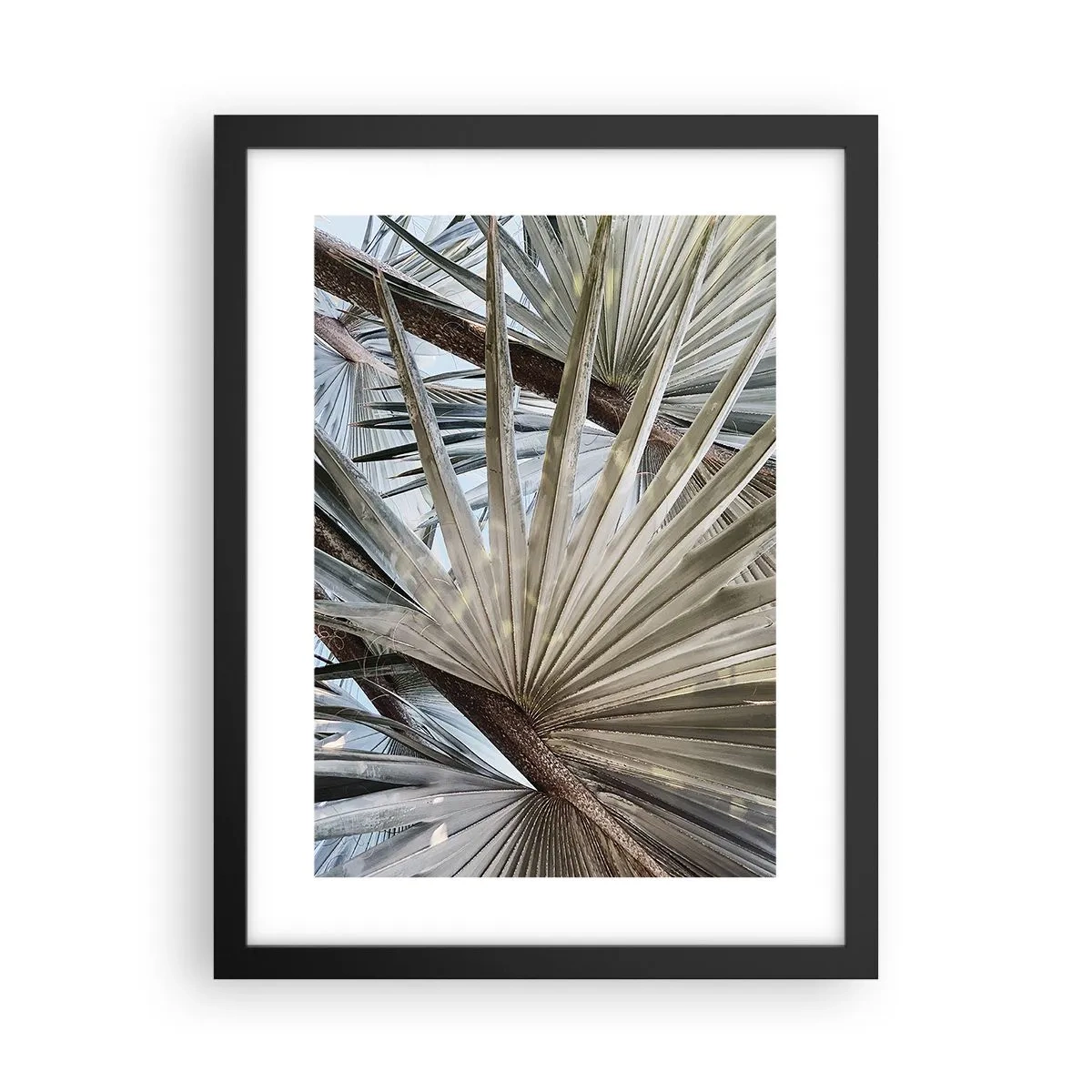 Poster in einem schwarzem Rahmen - Fans in den Tropen - 30x40 cm