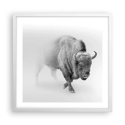 Poster in einem weißen Rahmen - König der Prärie - 50x50 cm
