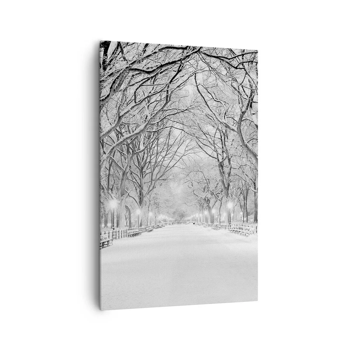 Bild auf Leinwand - Leinwandbild - Eine Winterallee mit schneebedeckten Bäumen in Monochrom - 80x120cm - Vier Jahreszeiten - Winter - Moderne Wanddekoration für Wohnzimmer und Schlafzimmer ARTTOR