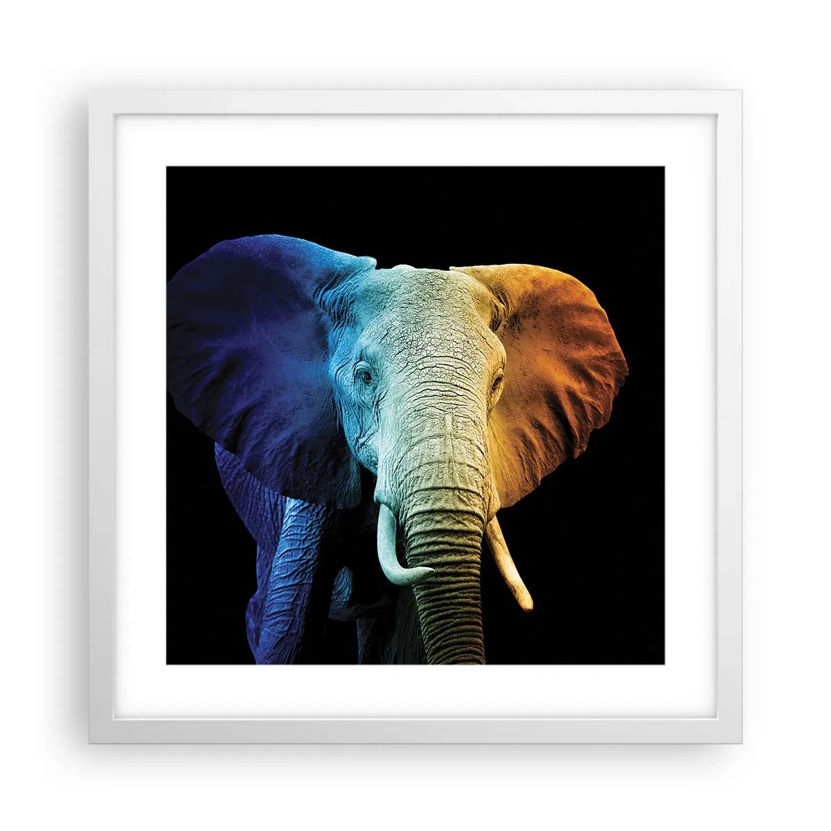 Poster in einem weißen Rahmen - Exzentrisch, kein Verrückter - 40x40 cm