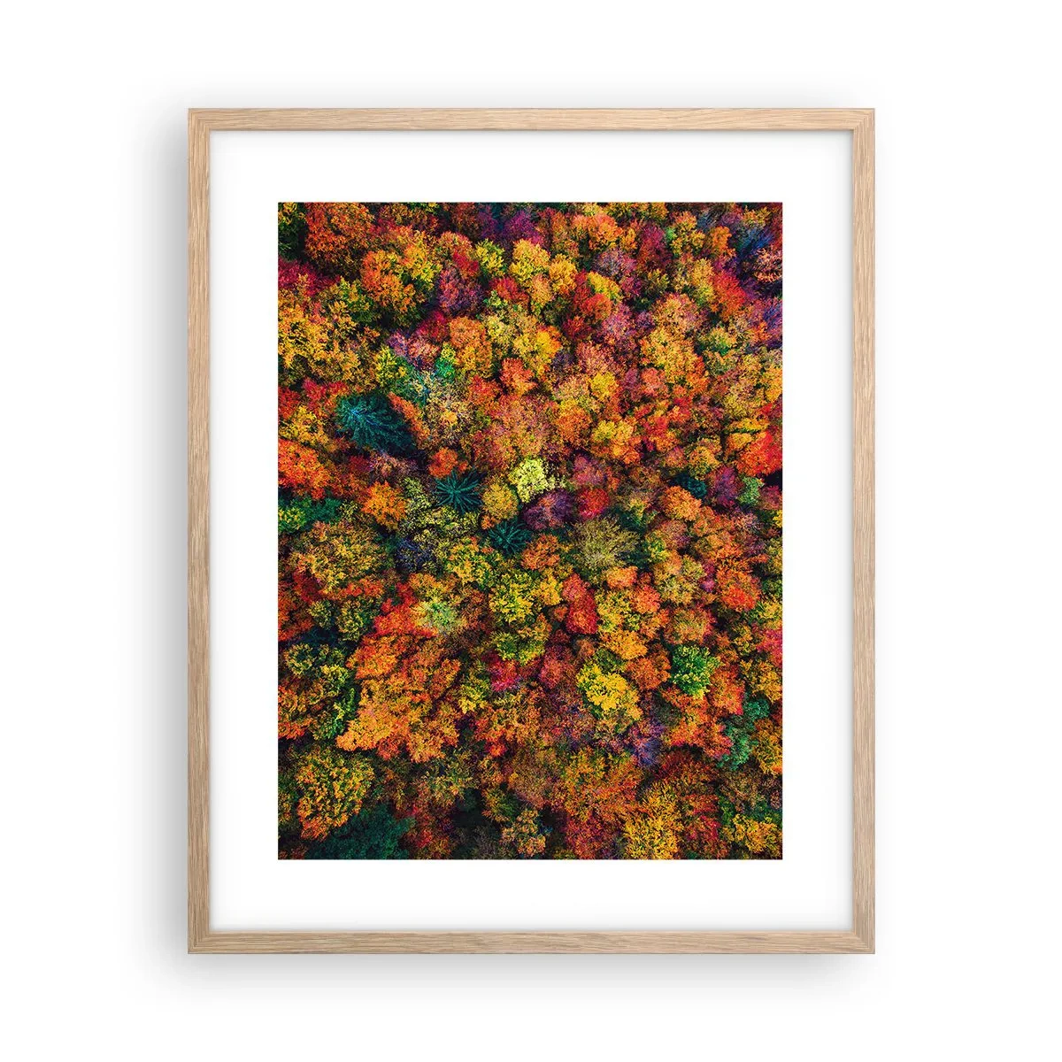 Poster in einem Rahmen aus heller Eiche - Blumenstrauß aus Herbstbäumen - 40x50 cm