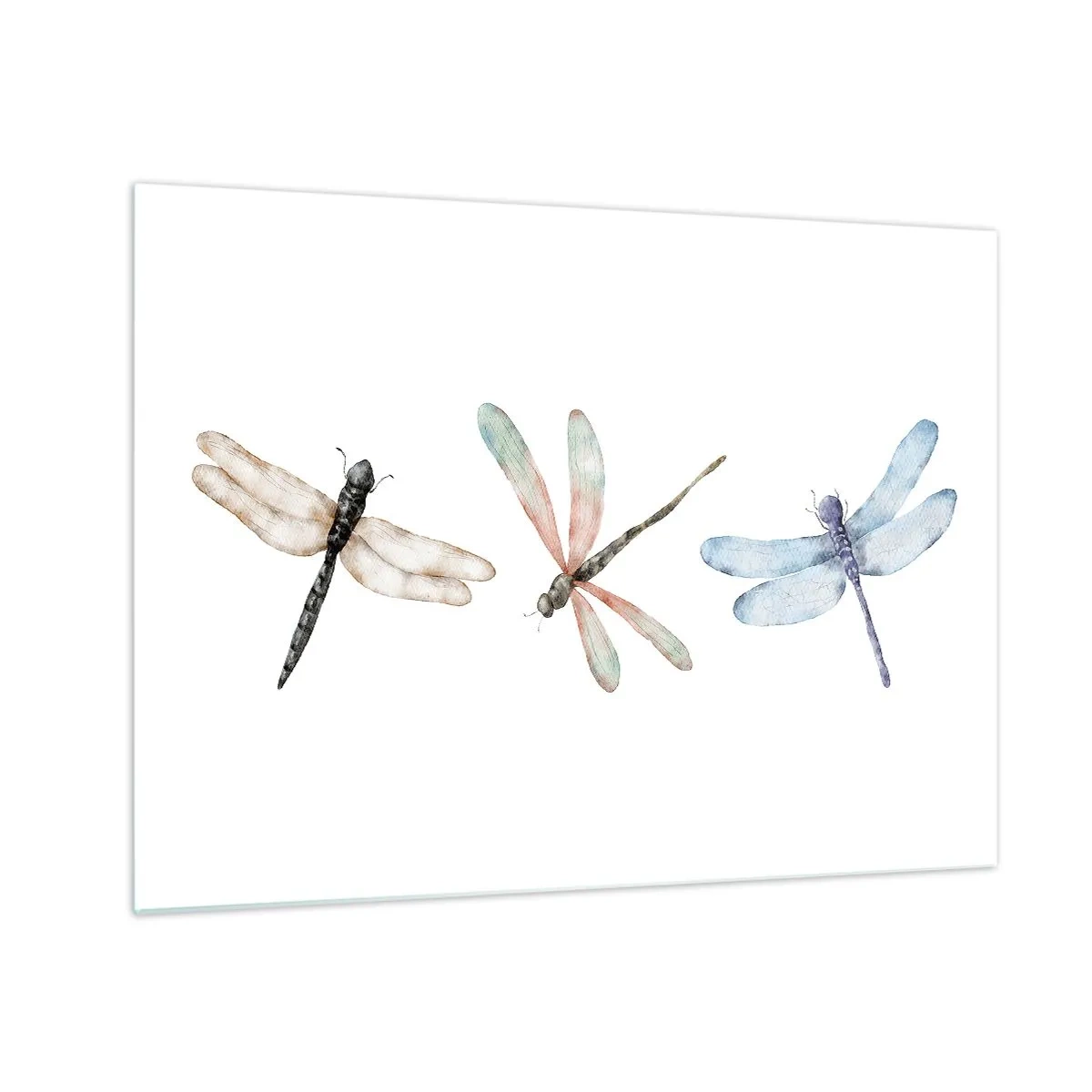 Glasbild - Bild auf glas - Drei bunte Libellen auf weißem Hintergrund im zarten Aquarellstil - 70x50cm - Schwerelose Libellen - Moderne Wanddekoration für Wohnzimmer und Schlafzimmer ARTTOR