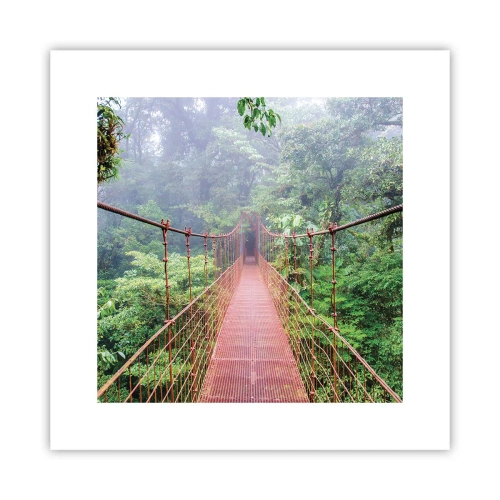 Poster - Über den Kronen aufgehängt - 30x30 cm