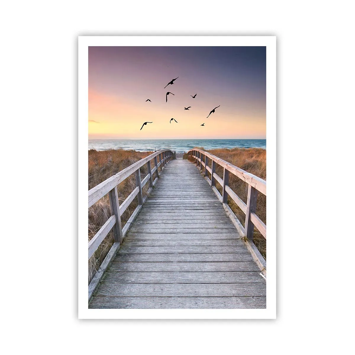 Poster - Der Raum für Auffliegen - 70x100 cm