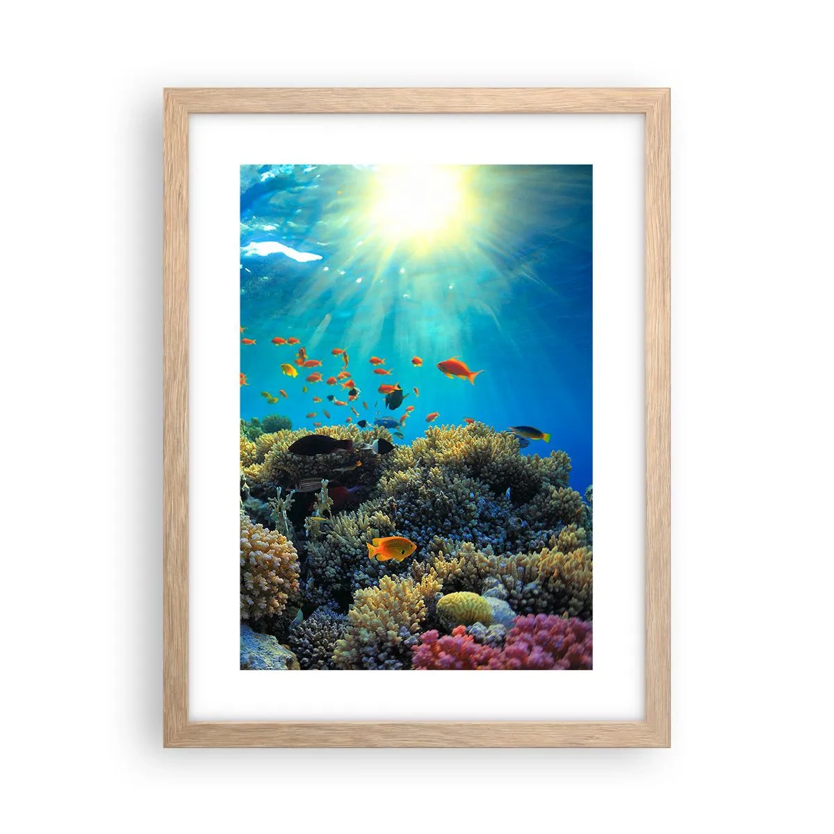 Poster in einem Rahmen aus heller Eiche - Unterwasserschätze - 30x40 cm