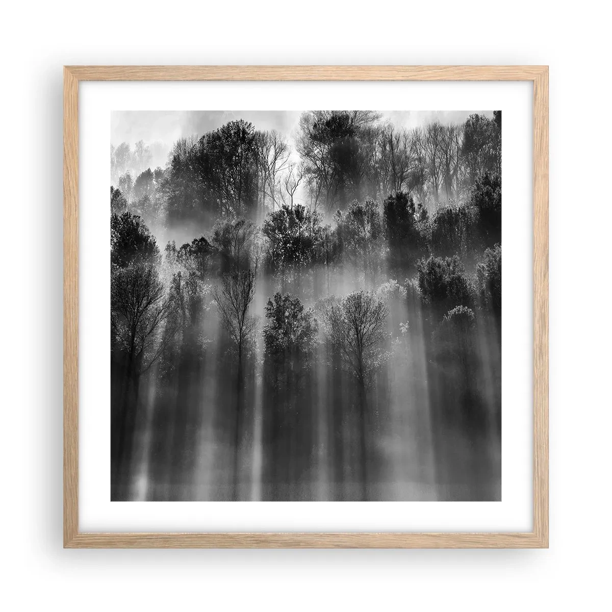 Poster in einem Rahmen aus heller Eiche - In Lichtstrahlen - 50x50 cm