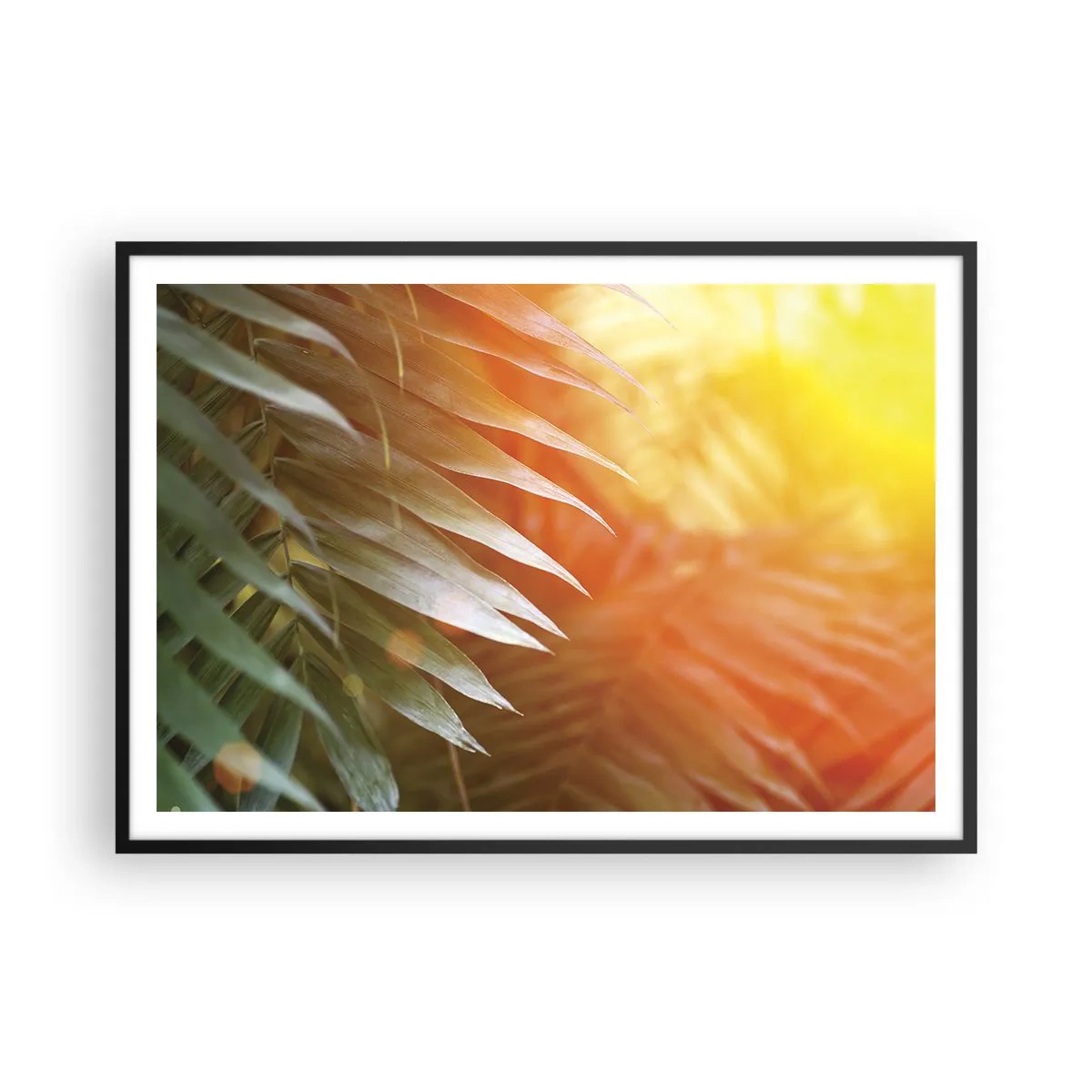 Poster in einem schwarzem Rahmen - Palmblätter in den Strahlen des Sonnenuntergangs - 100x70cm - Morgen im Dschungel - Moderne Wanddekoration für Wohnzimmer und Schlafzimmer ARTTOR