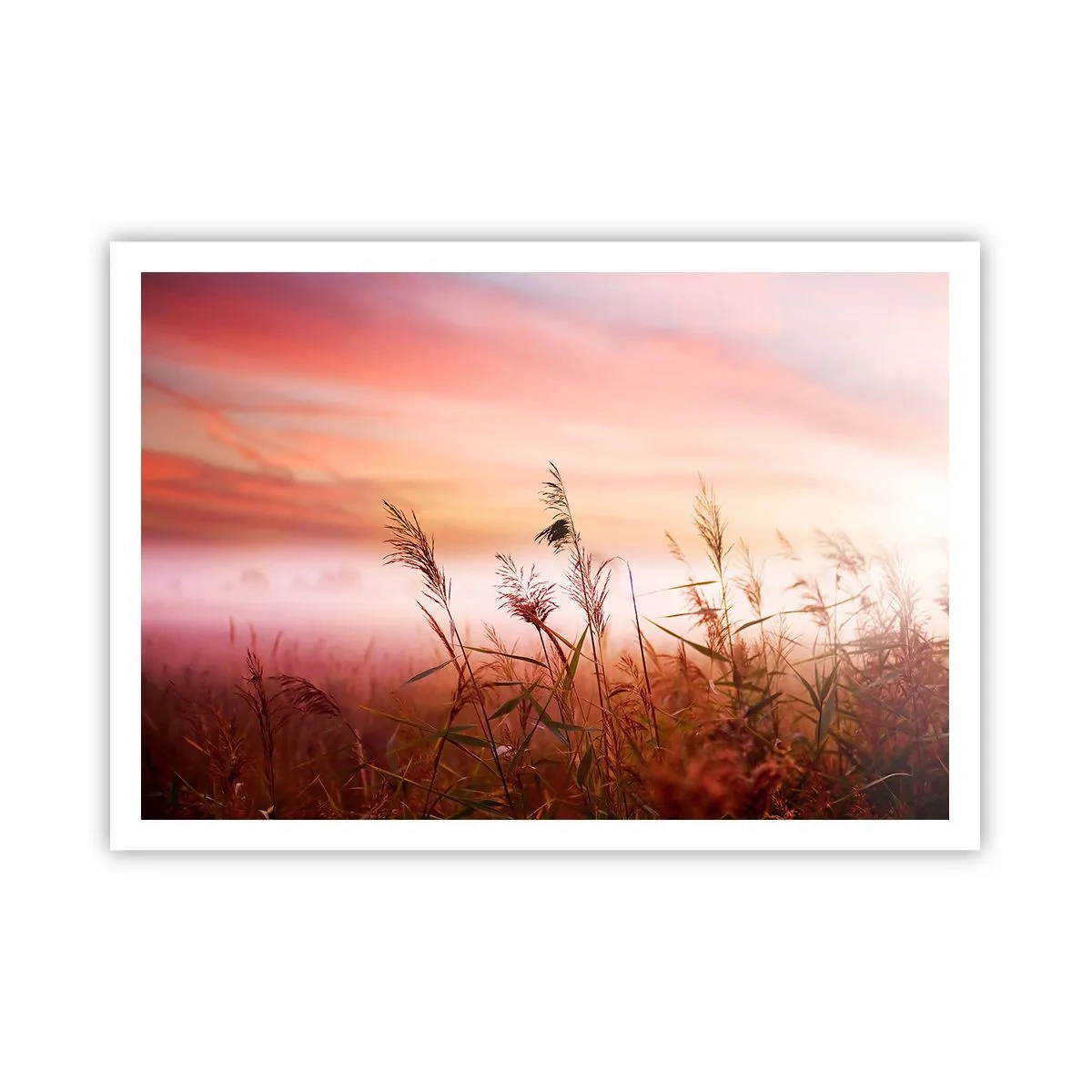Poster - Ein Grasfeld vor der Kulisse eines malerischen Sonnenuntergangs - 100x70cm - Drachen, Löwenzahn, Wind - Moderne Wanddekoration für Wohnzimmer und Schlafzimmer ARTTOR