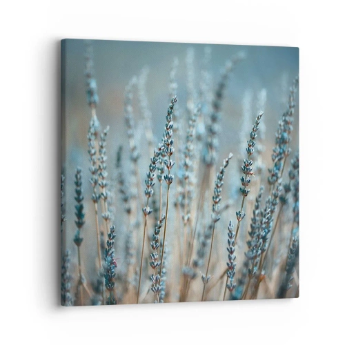 Bild auf Leinwand - Leinwandbild - Duftendes Kornfeld - 30x30 cm
