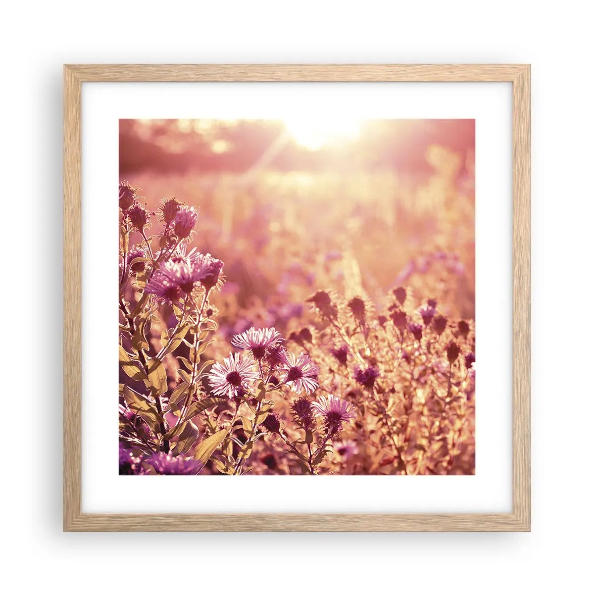 Poster in einem Rahmen aus heller Eiche - Bevor der Sommer vorbei ist - 40x40 cm