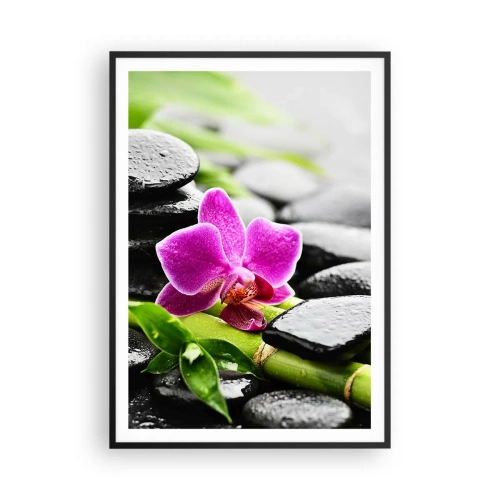 Poster in einem schwarzem Rahmen - In ruhiger Balance - 70x100 cm