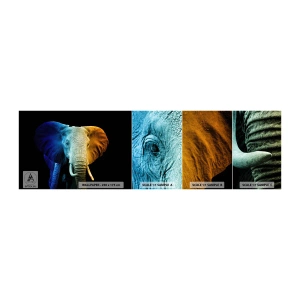 Fototapeten Muster Selbstklebend Deluxe Sticker - Exzentrisch, kein Verrückter - Abstraktion, Elefant, Tiere - 100x30 cm