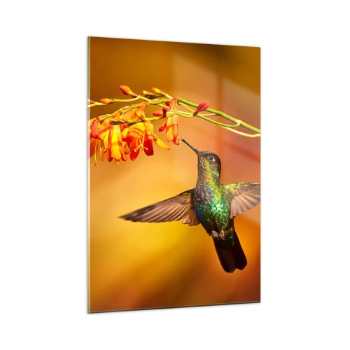 Glasbild - Bild auf glas - Kolibri neben Blumen in goldenem Glanz - 50x70cm - Ein Lichtbote nach den Maya - Moderne Wanddekoration für Wohnzimmer und Schlafzimmer ARTTOR