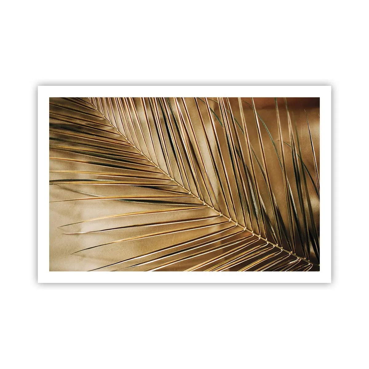 Poster - Natürliche Kolonnade - 91x61 cm