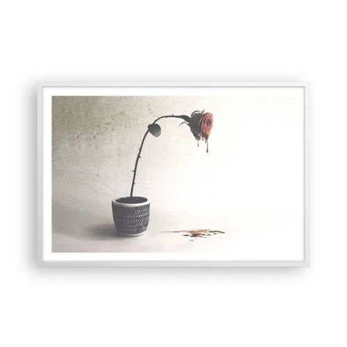 Poster in einem weißen Rahmen - Rosa dolorosa - 91x61 cm