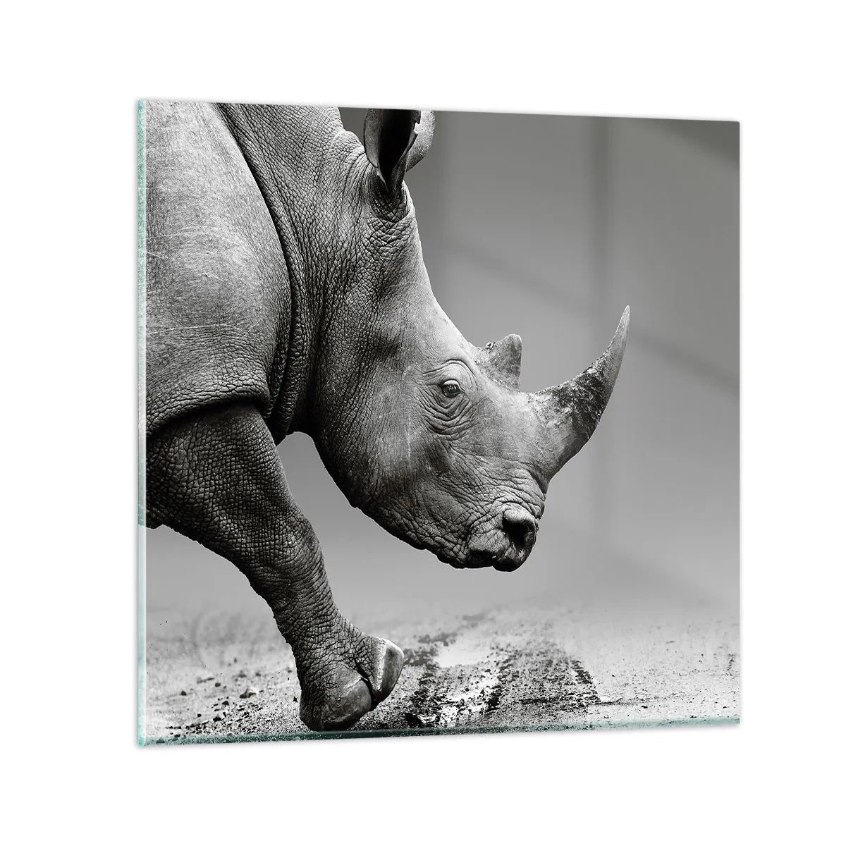 Glasbild - Bild auf glas - Unaufhaltsame Stärke - 70x70 cm