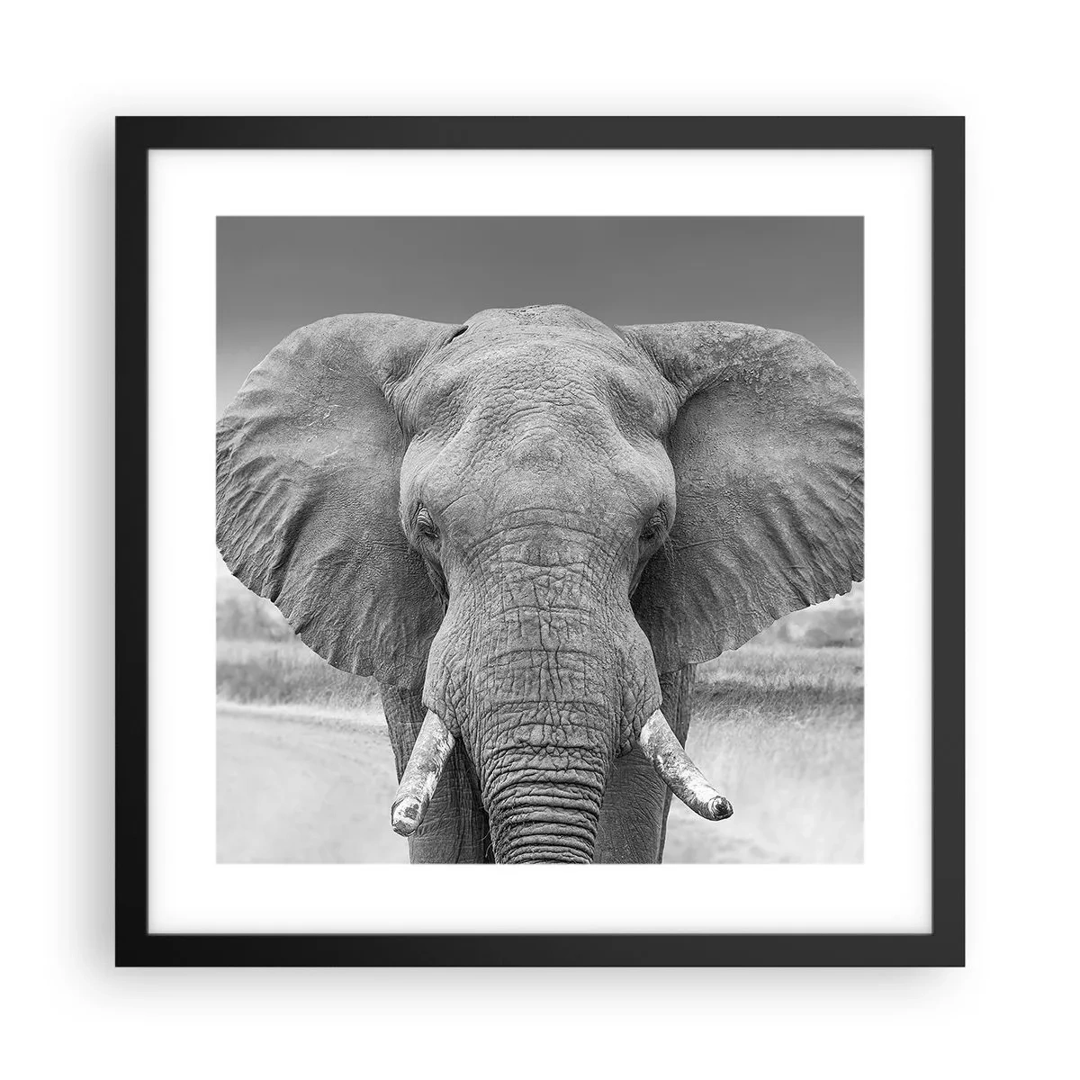 Poster in einem schwarzem Rahmen - Willkommen in meiner Welt - 40x40 cm