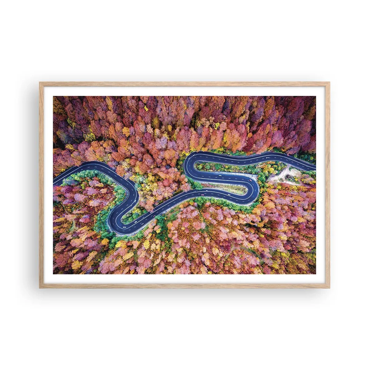 Poster in einem Rahmen aus heller Eiche - Kurvenreicher Weg durch den Wald - 100x70 cm