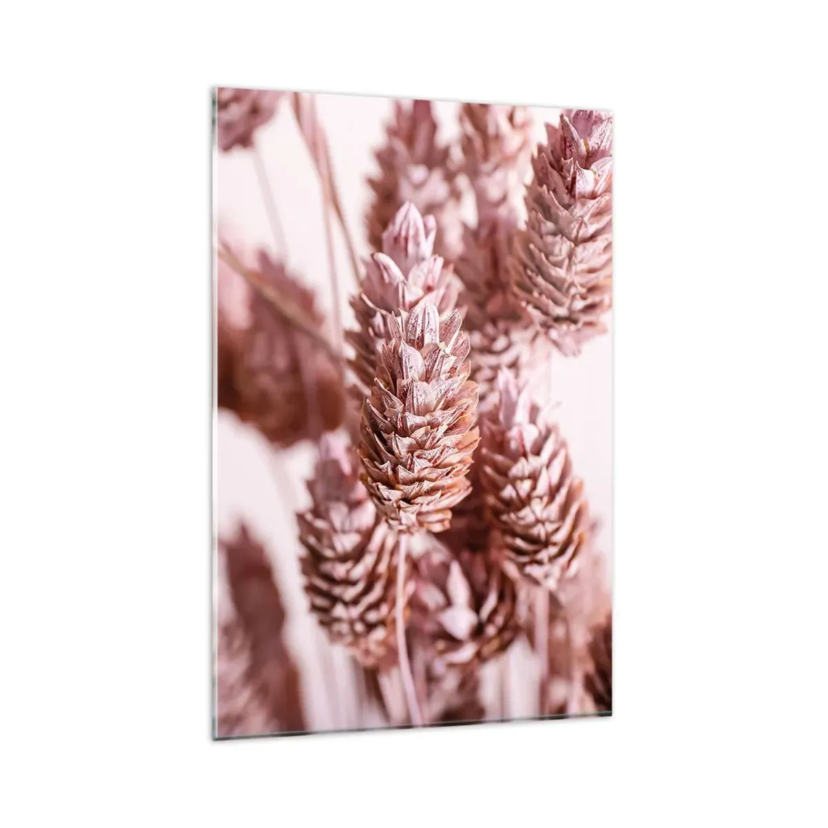 Glasbild - Bild auf glas - Eine Nahaufnahme der zarten rosa Ähren von Ziergräsern - 80x120cm - Scheinbar unauffällig - Moderne Wanddekoration für Wohnzimmer und Schlafzimmer ARTTOR