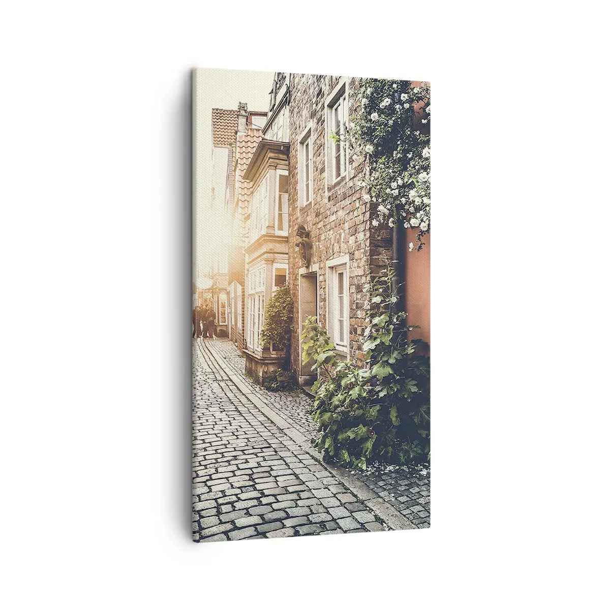 Bild auf Leinwand - Leinwandbild - Rosenallee im rosa Schein - 45x80 cm