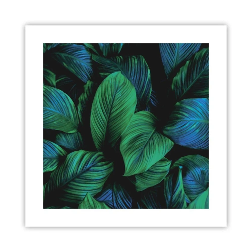 Poster - In der grünen Menge - 40x40 cm