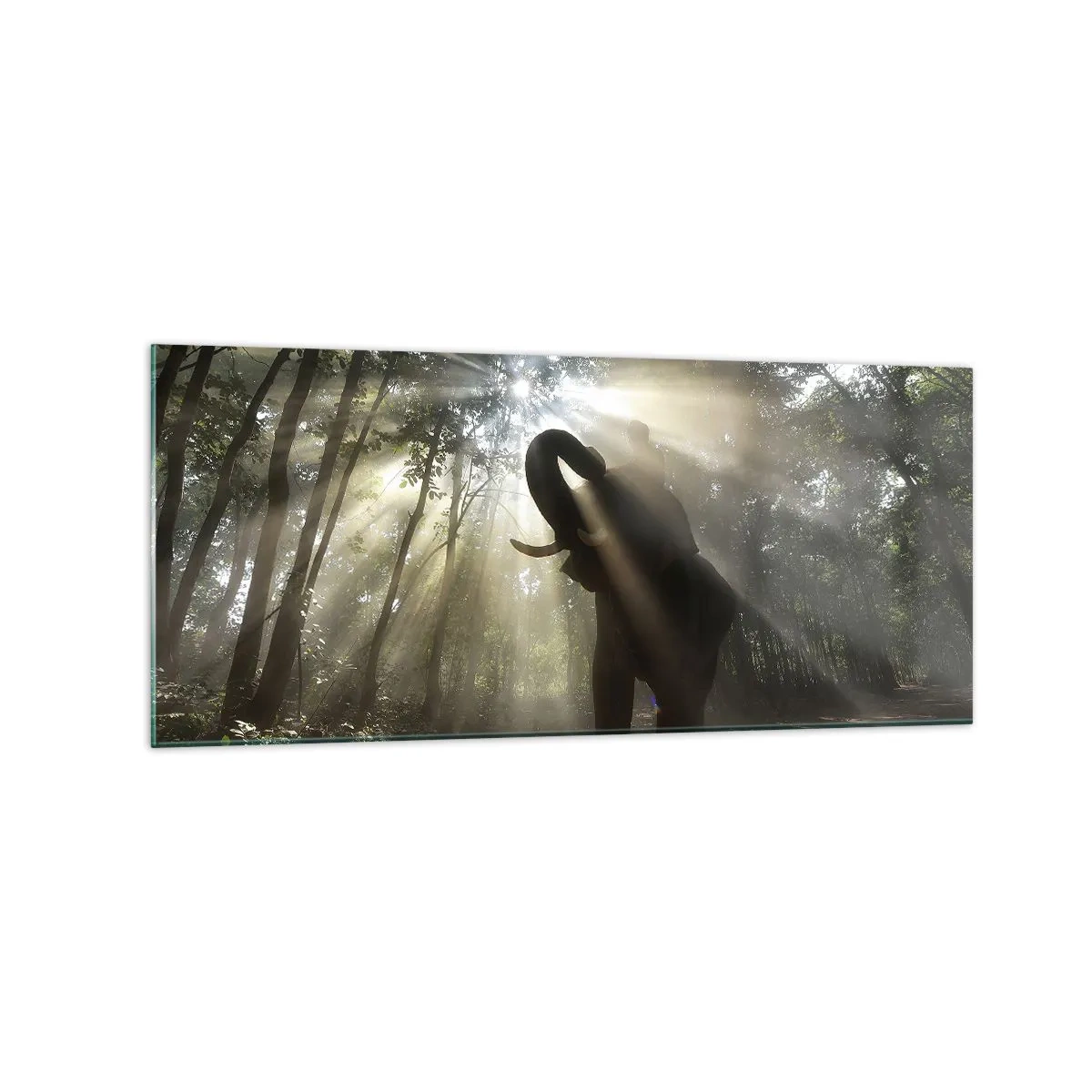 Glasbild - Bild auf glas - Ein Elefant im Wald, umgeben von Lichtstrahlen im Morgennebel - 120x50cm - Unter dem Glücksstern - Moderne Wanddekoration für Wohnzimmer und Schlafzimmer ARTTOR