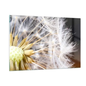 Glasbild - Bild auf glas - Nahaufnahme eines Löwenzahns mit zarten Samen - 120x80cm - Kurz vor dem Abflug - Moderne Wanddekoration für Wohnzimmer und Schlafzimmer ARTTOR