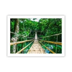 Poster - Monkey Bridge über das Grün - 70x50 cm