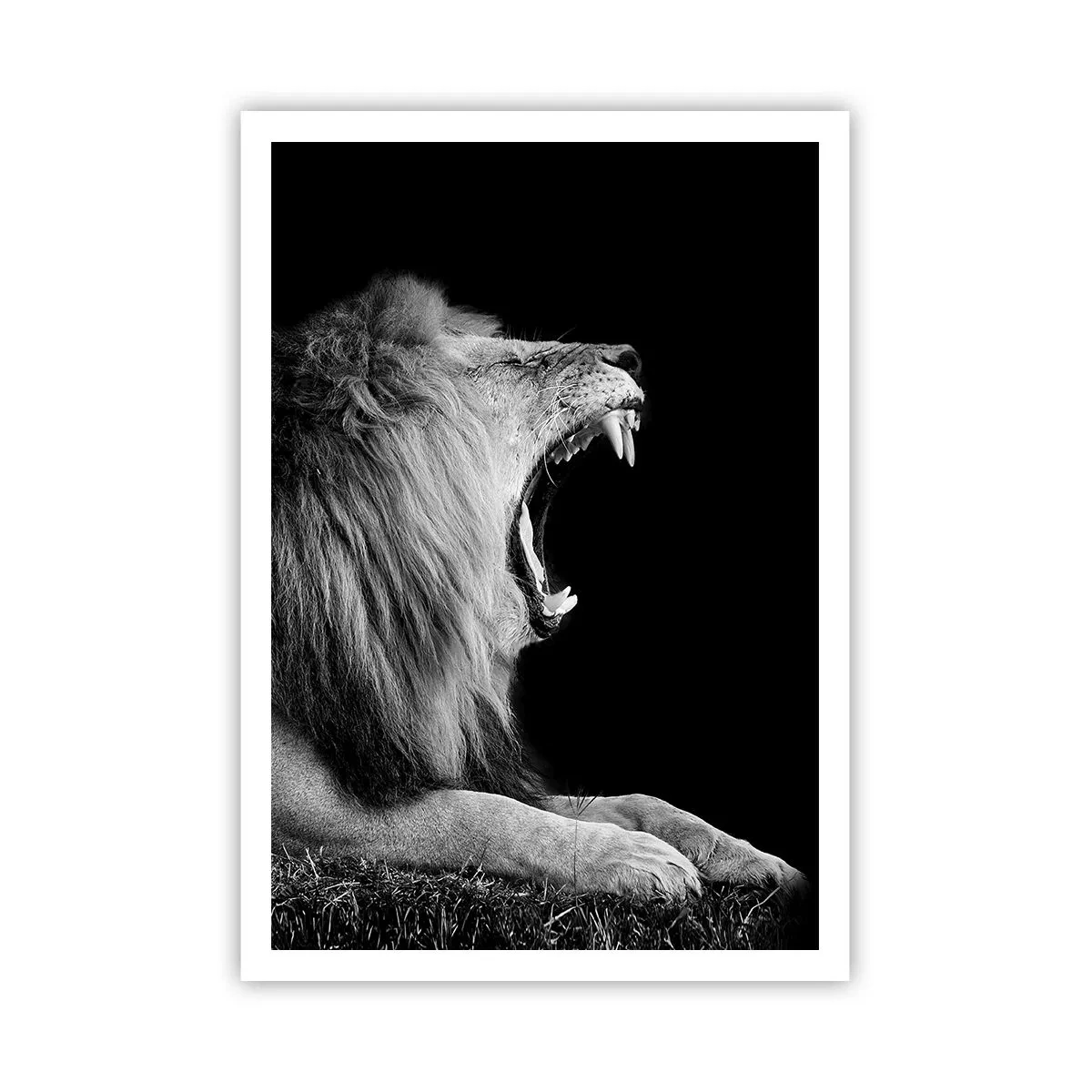 Poster - Ohne Zweifel - 70x100 cm