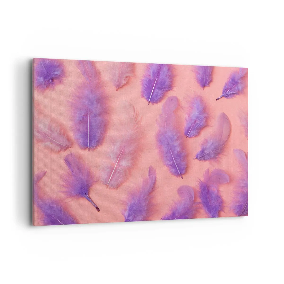 Bild auf Leinwand - Leinwandbild - Lila und rosa Federn auf pastellfarbenem Hintergrund - 100x70cm - Lila Vogel der Begierde - Moderne Wanddekoration für Wohnzimmer und Schlafzimmer ARTTOR