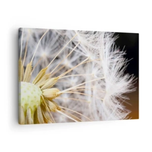 Bild auf Leinwand - Leinwandbild - Makrofotografie eines Löwenzahns mit zarten Samen - 70x50cm - Kurz vor dem Abflug - Moderne Wanddekoration für Wohnzimmer und Schlafzimmer ARTTOR