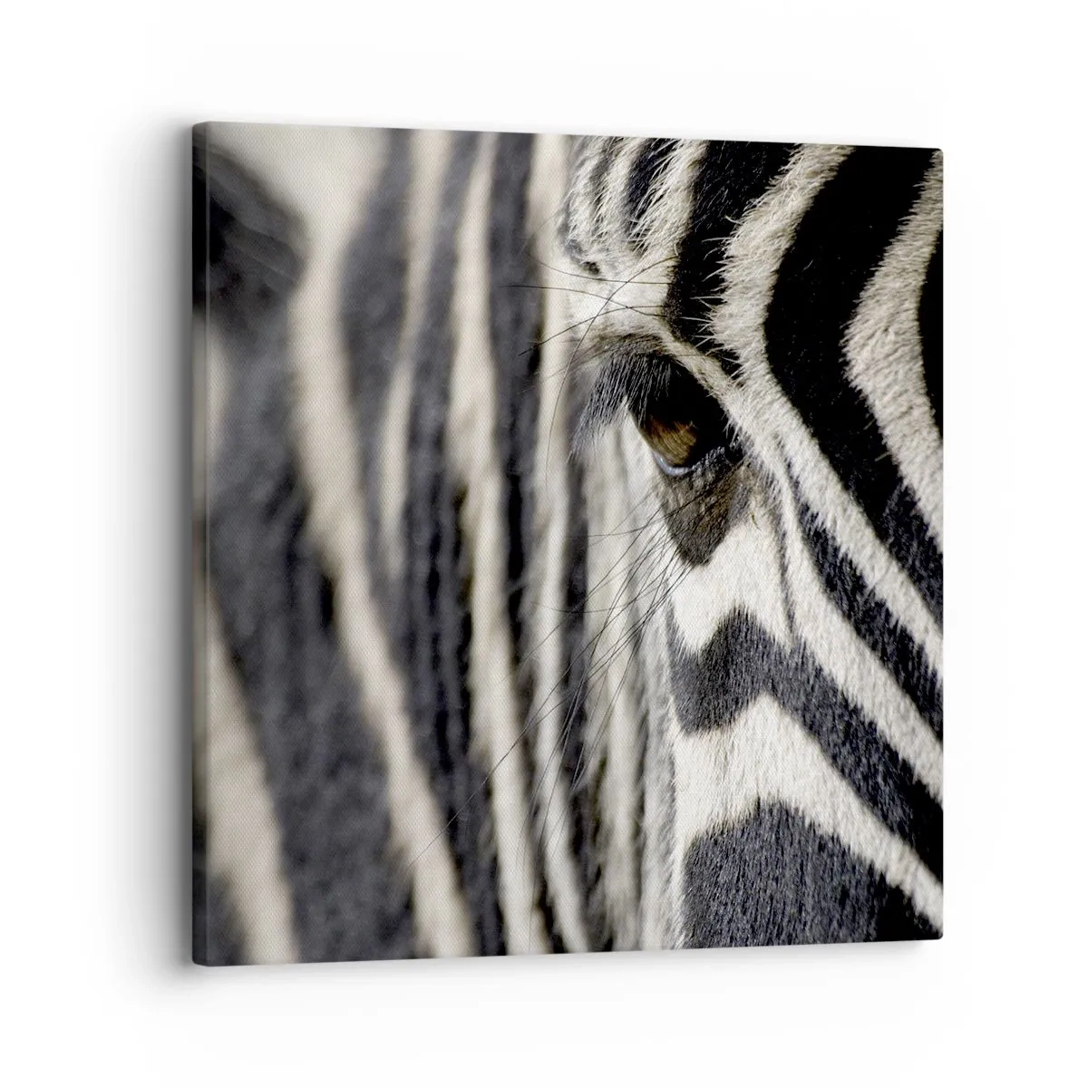 Bild auf Leinwand - Leinwandbild - Gestreiftes Porträt - 30x30 cm