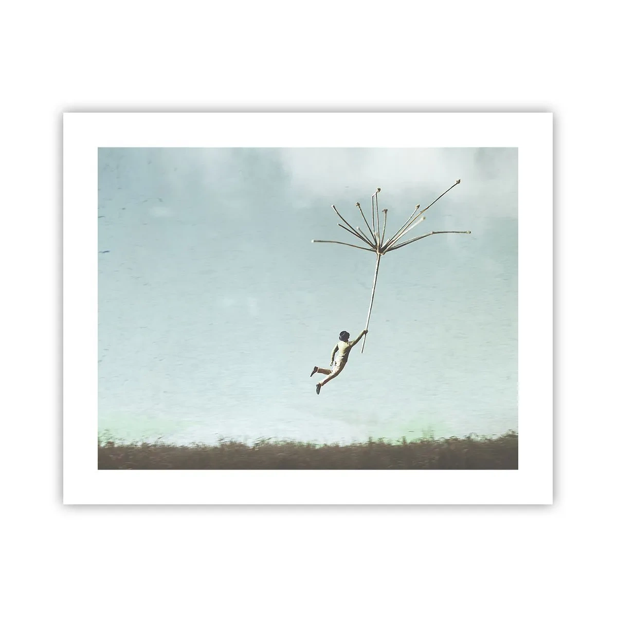 Poster - Drachen, Löwenzahn, Wind - 50x40 cm