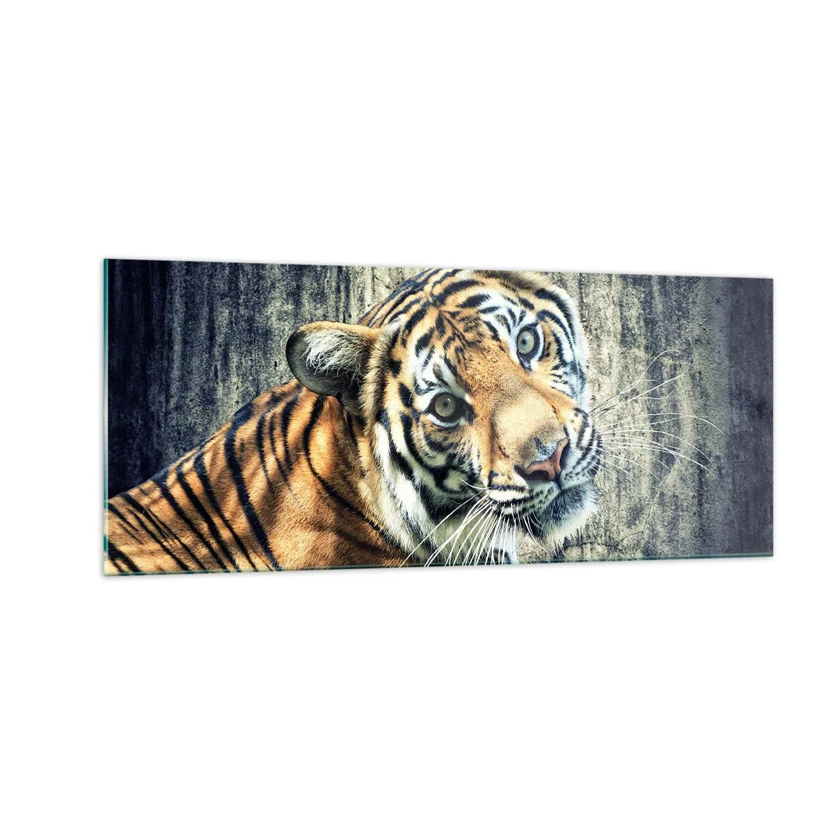 Glasbild - Bild auf glas - Portrait in Lichtstrahlen - 100x40 cm