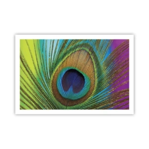 Poster - Auge in Auge - 91x61 cm