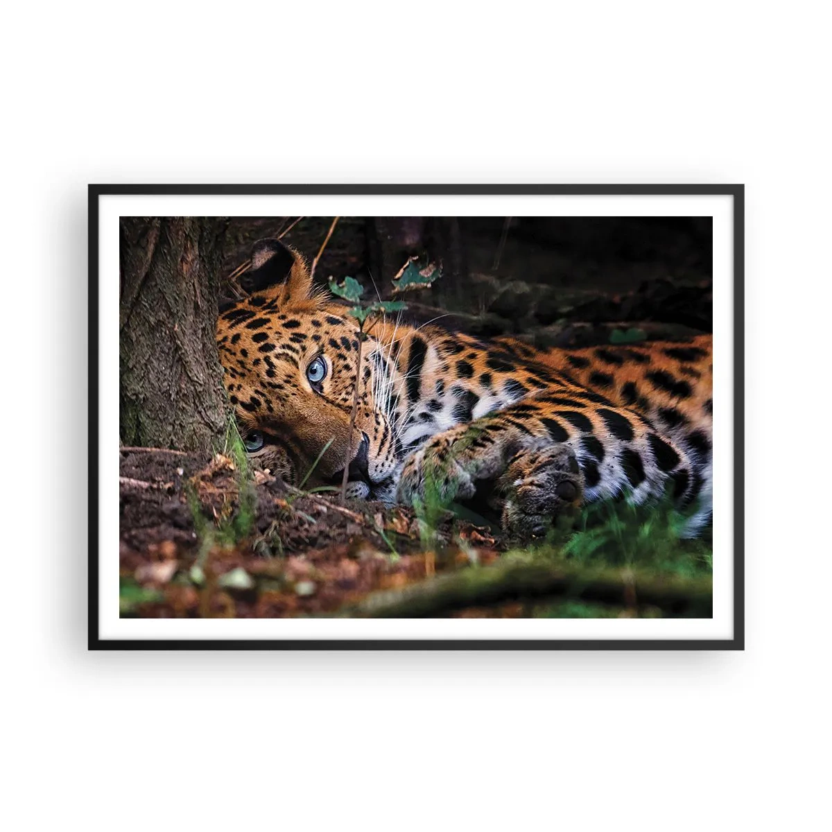 Poster in einem schwarzem Rahmen - Ein Leopard, der im Schatten der Bäume liegt - 100x70cm - Vertrau mir - Moderne Wanddekoration für Wohnzimmer und Schlafzimmer ARTTOR