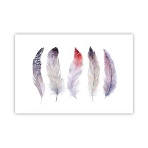 Poster - Zart wie mehrfarbiger Nebel - 91x61 cm