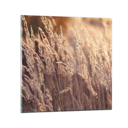 Glasbild - Bild auf glas - Bereit, den Herbst willkommen zu heißen - 30x30 cm