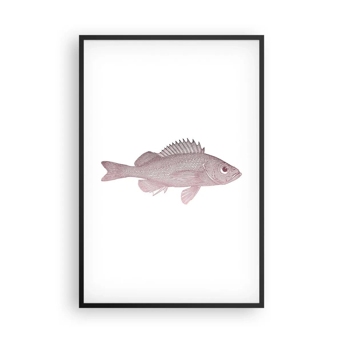 Poster in einem schwarzem Rahmen - Großäugiger Fisch - 61x91 cm