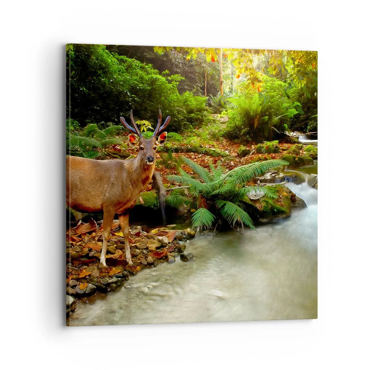 Bild auf Leinwand - Leinwandbild - Willkommen in meiner Welt - 70x70 cm