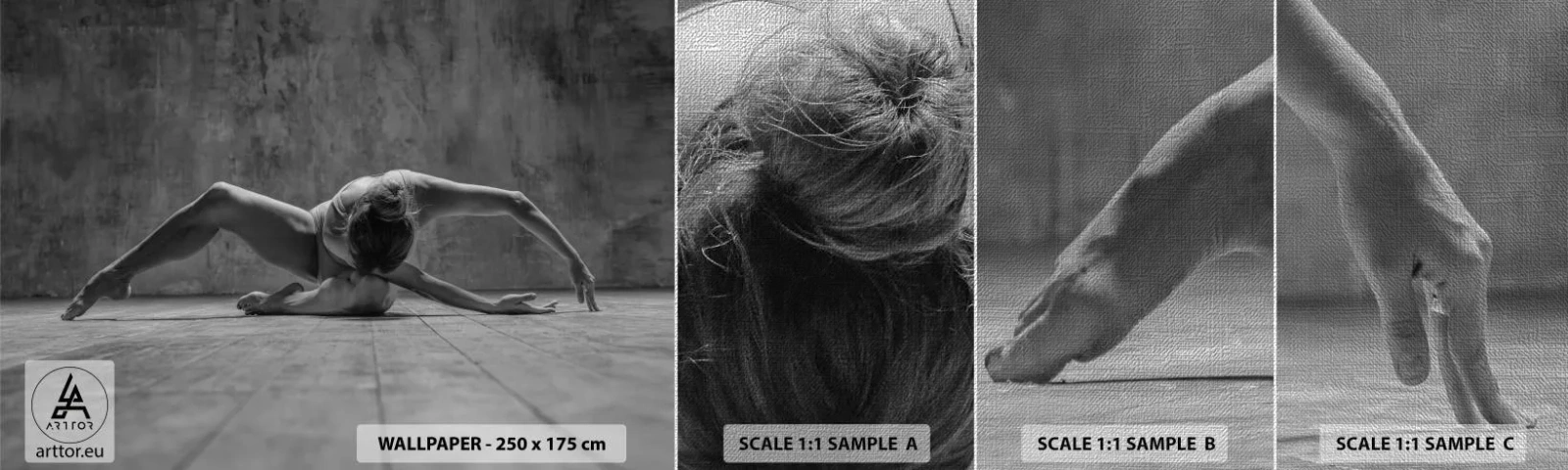 Fototapeten Muster Premium Canvas - Symmetrie gefunden - Ballerina, Ballett, Tanzen - 100x30 cm