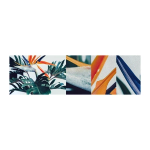 Fototapeten Muster Premium Sand - Vogelbusch - Pflanzen, Boho, Exotisch - 100x30 cm