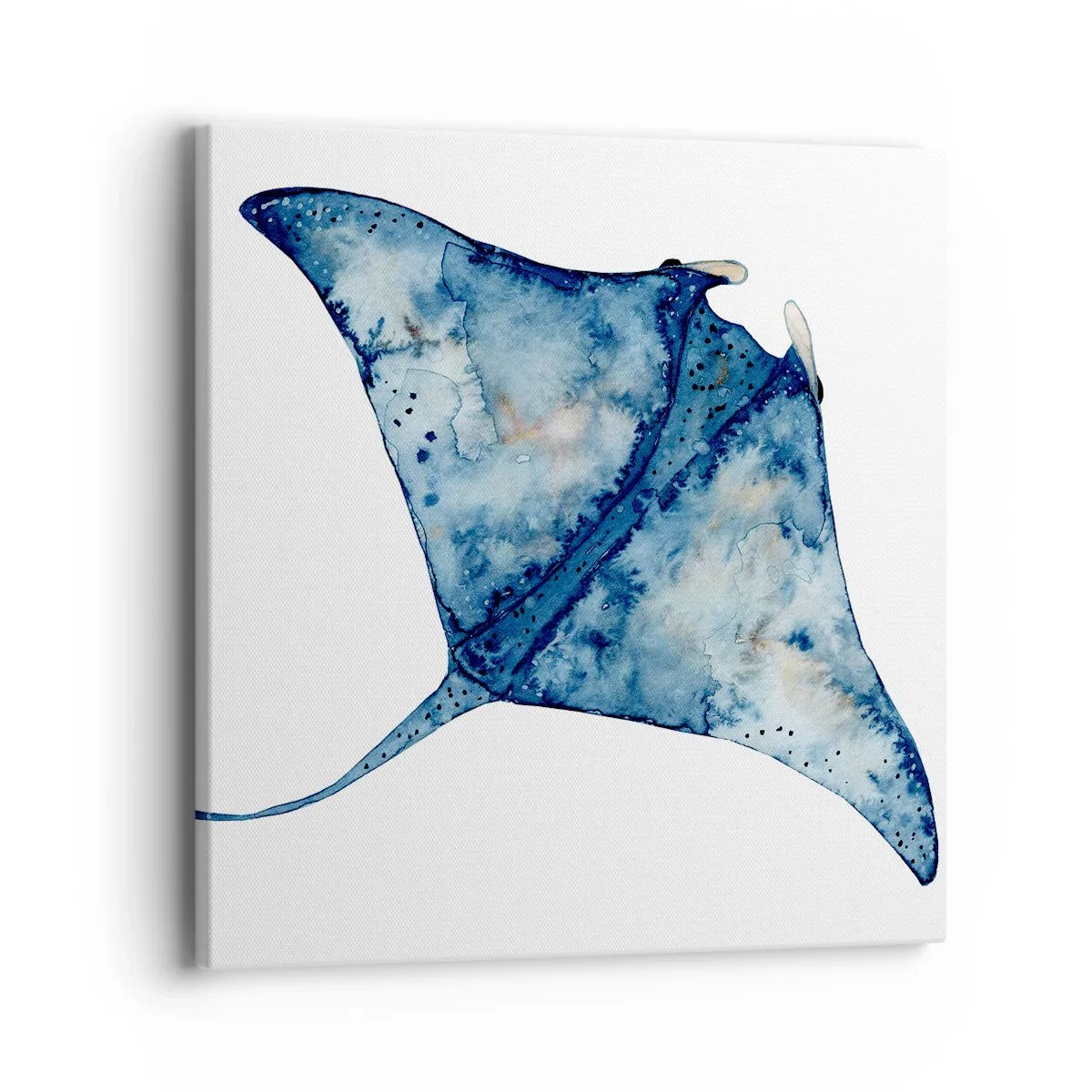 Bild auf Leinwand - Leinwandbild - Leben im Blau - 40x40 cm