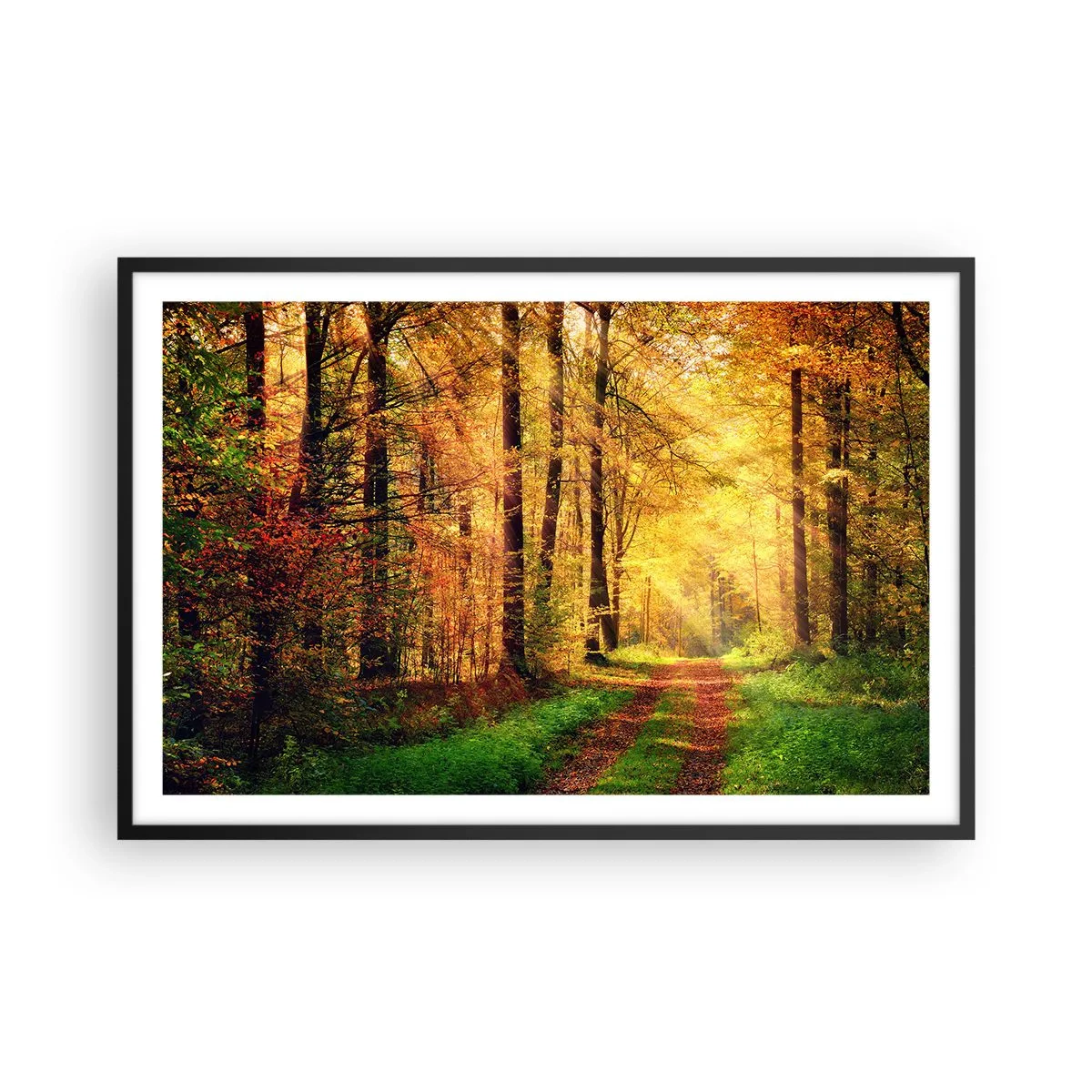 Poster in einem schwarzem Rahmen - Waldgoldene Stille - 91x61 cm