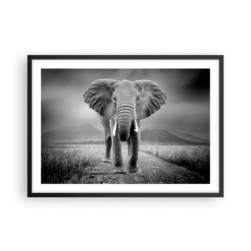 Poster in einem schwarzem Rahmen - Ein mächtiger Elefant in der Savanne in monochromen Tönen - 70x50cm - Der Gastgeber heißt willkommen - Moderne Wanddekoration für Wohnzimmer und Schlafzimmer ARTTOR