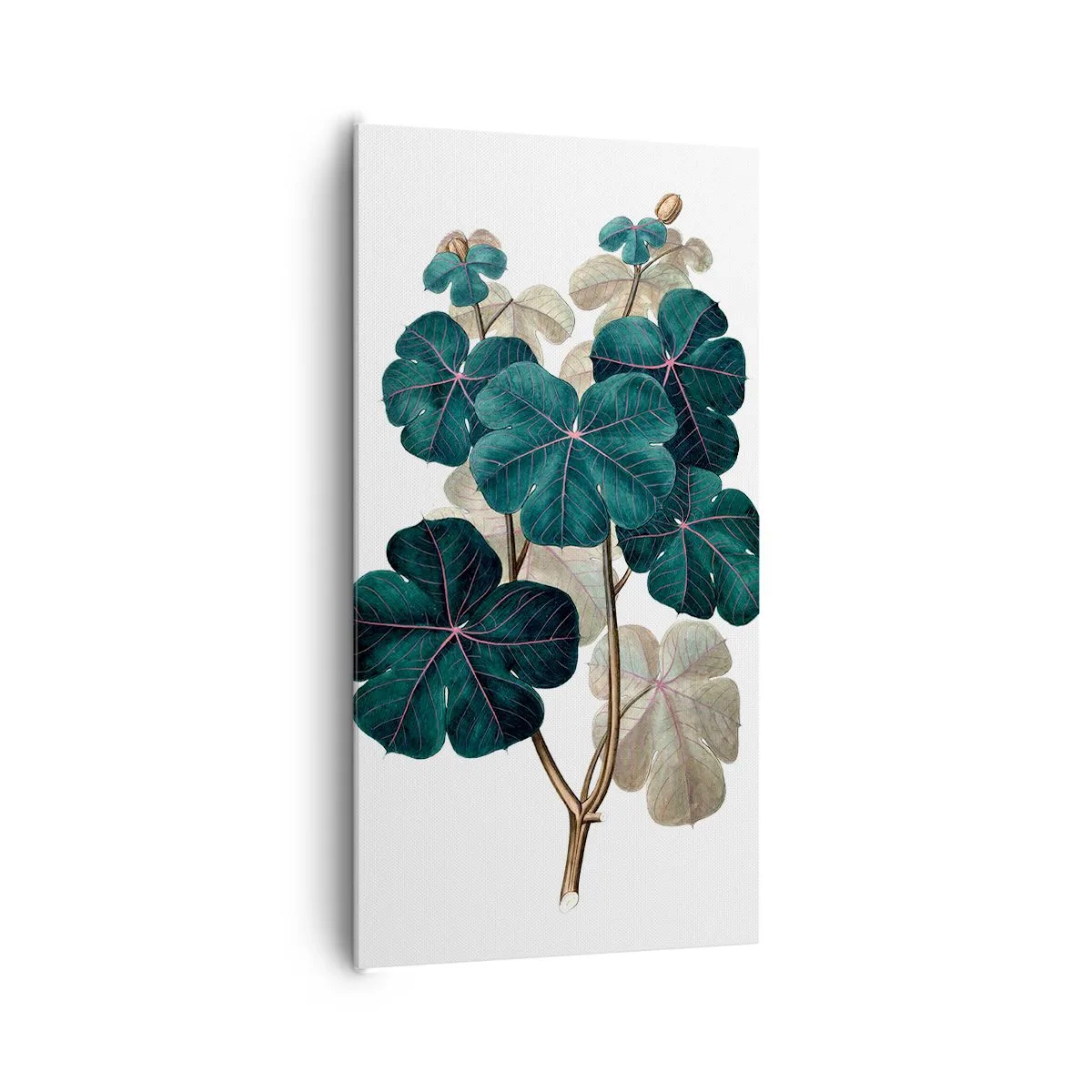 Bild auf Leinwand - Leinwandbild - Aus dem alten Herbarium - 65x120 cm