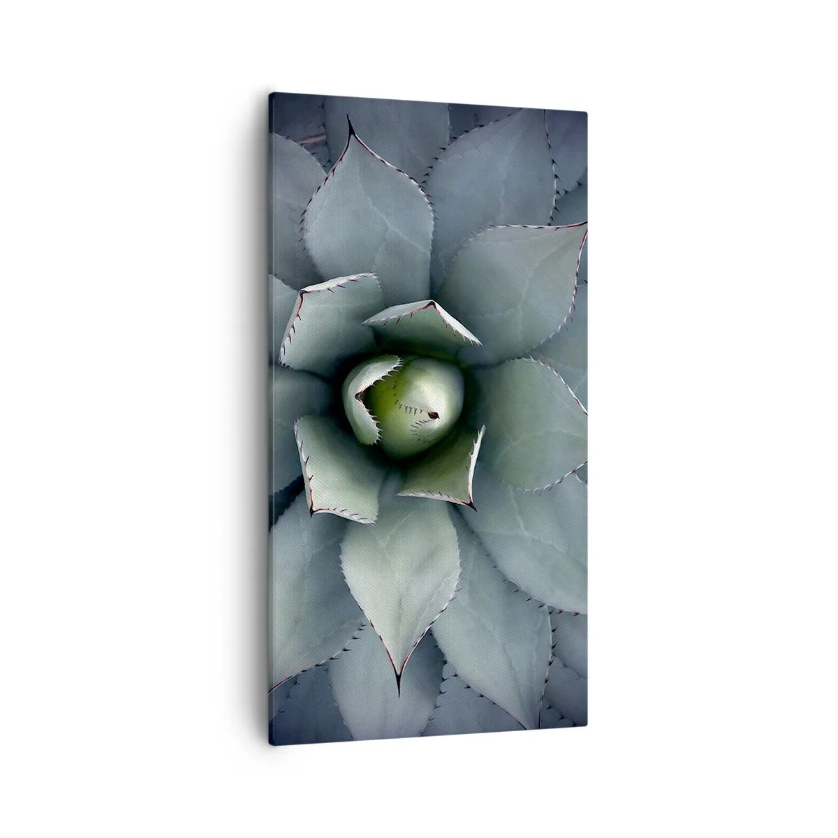 Bild auf Leinwand - Leinwandbild - Es lockt an und warnt - 55x100 cm