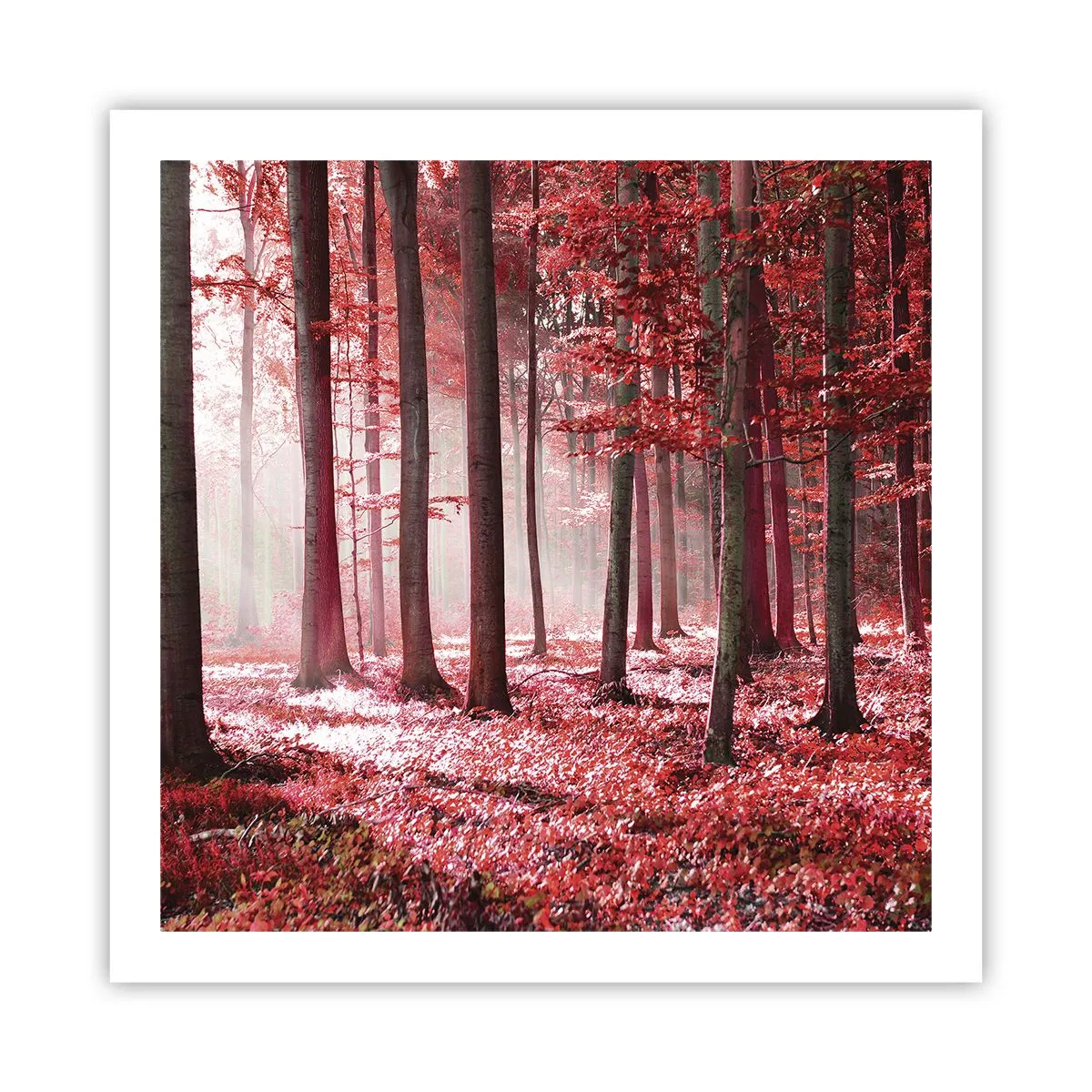 Poster - Rot ist genauso schön - 60x60 cm