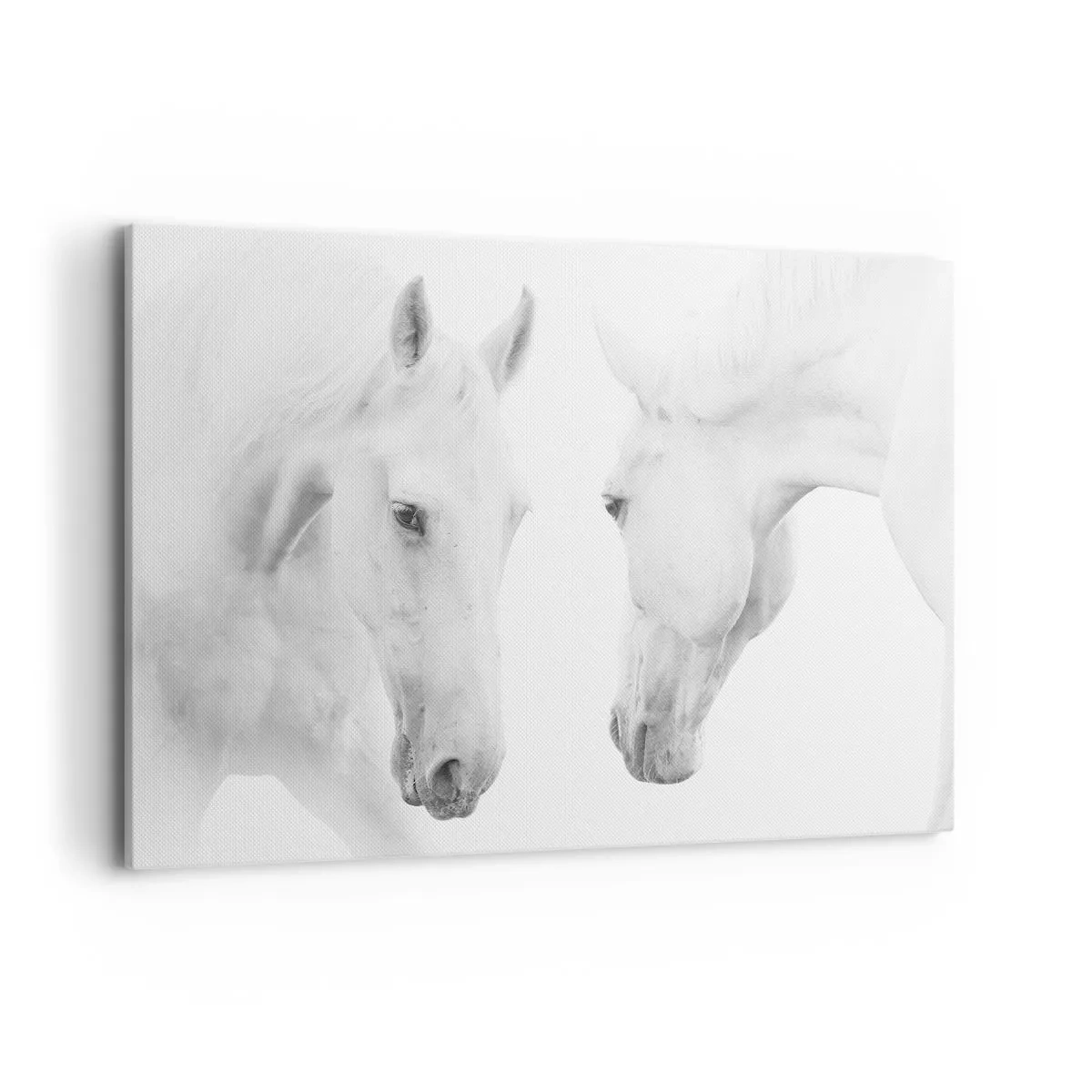 Bild auf Leinwand - Leinwandbild - Ein minimalistisches Porträt zweier weißer Pferde - 120x80cm - Ist das Freundschaft...? - Moderne Wanddekoration für Wohnzimmer und Schlafzimmer ARTTOR