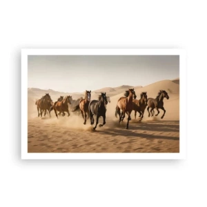 Poster - Frei wie der Wind - 91x61 cm